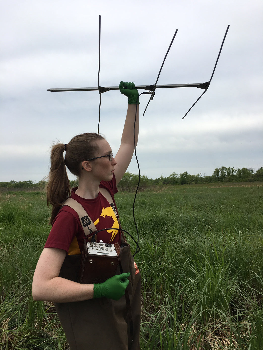 VHF  telemetry  antenna  140-170 Mhz for wild life tracking Gps collar